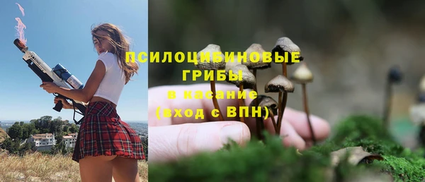 шишки Верхнеуральск